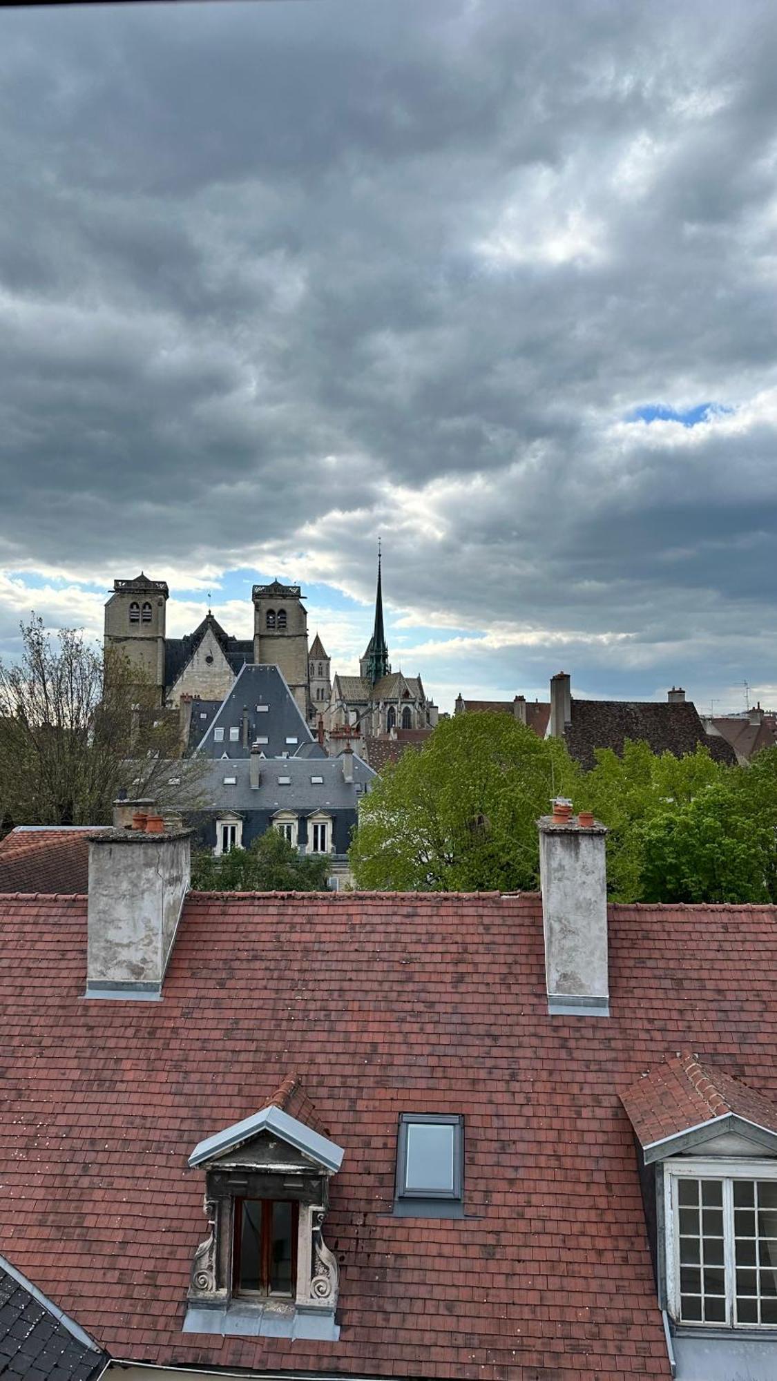 Berbisey 3 Apartment Dijon Bagian luar foto